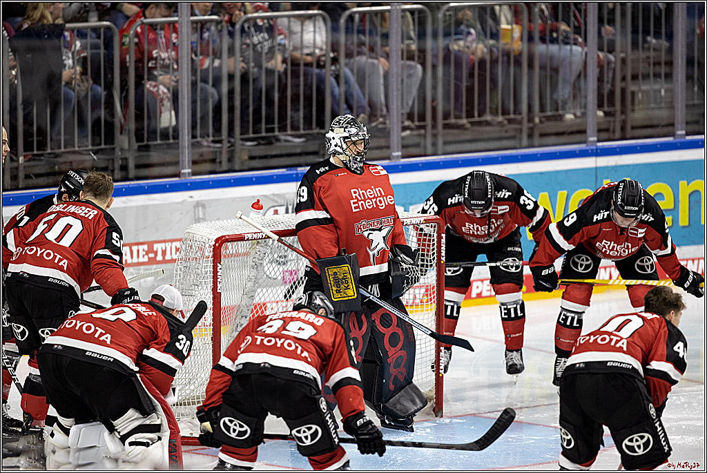 PENNY DEL;  Koelner Haie - Krefeld Pinguine; Koeln, 31.10.2021